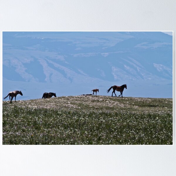Item preview, Wild Mustangs at Large #2 designed and sold by Ken McElroy.