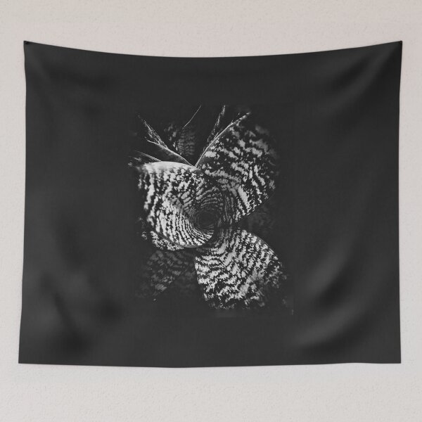 Item preview, Black and White Sansevieria Plant designed and sold by ea-photos.