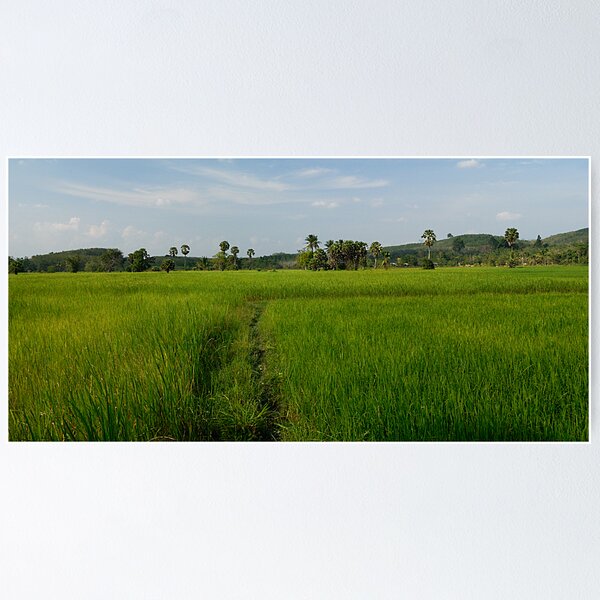Item preview, Rice Field designed and sold by Alexander Gitlits.