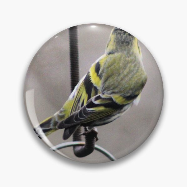 Item preview, siskin designed and sold by KathleenDawson.