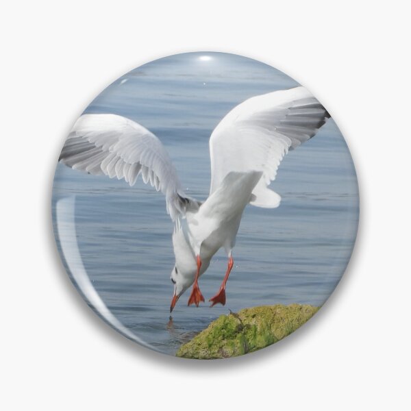 Item preview, Gull at the lake designed and sold by Juviraga.