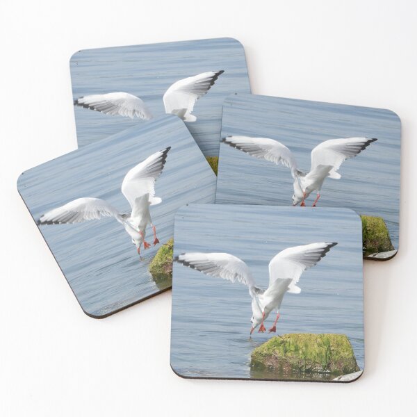 Item preview, Gull at the lake designed and sold by Juviraga.