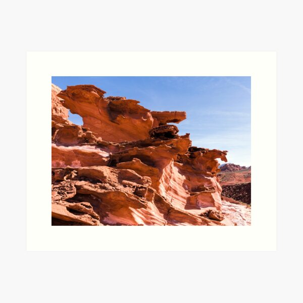 Plants And Birds And Rocks And Things Art Print