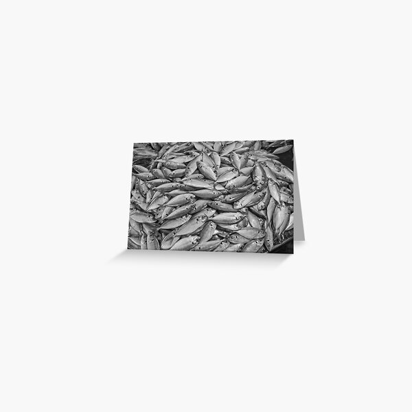 Catch of the day Greeting Card