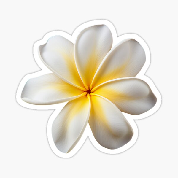 Item preview, Frangipani designed and sold by MailuDesigns.