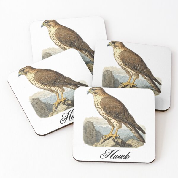 Item preview, a Hawk sitting on a rock designed and sold by jnsmerchstore.