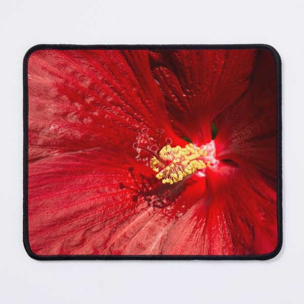 Item preview, Scarlet Bloomcore - Exotic Hibiscus Flower in Rich Red designed and sold by Georgia Mizuleva.