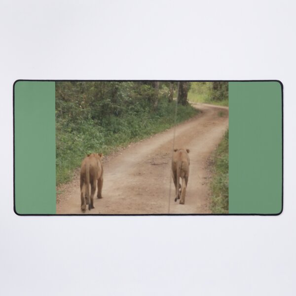 Item preview, Lithe Lionesses designed and sold by annenambiro.