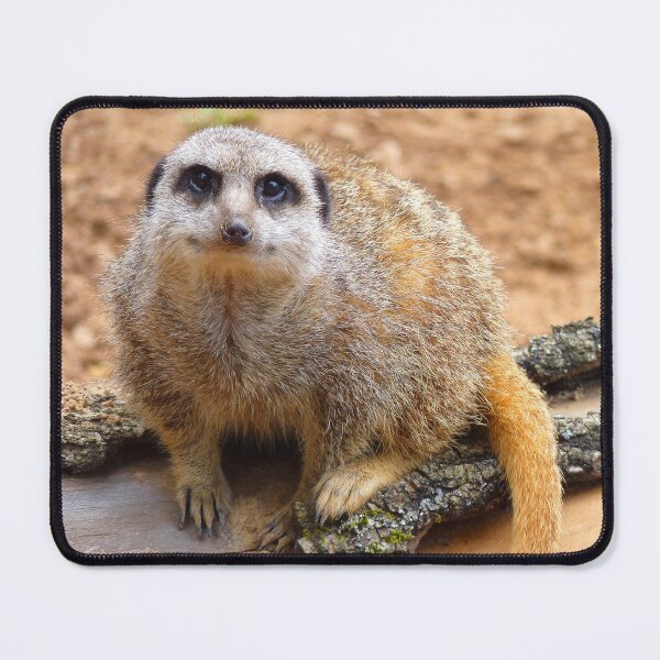 Item preview, Meerkat Manor designed and sold by Fearless-Fox.