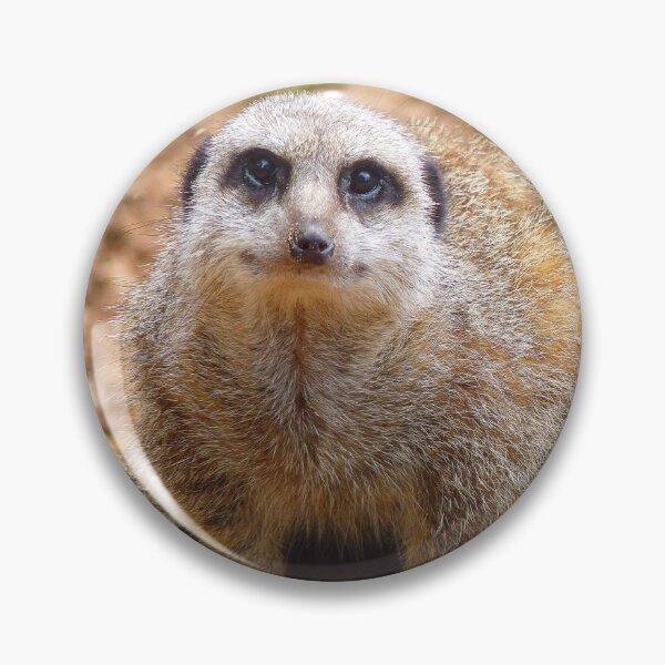 Item preview, Meerkat Manor designed and sold by Fearless-Fox.