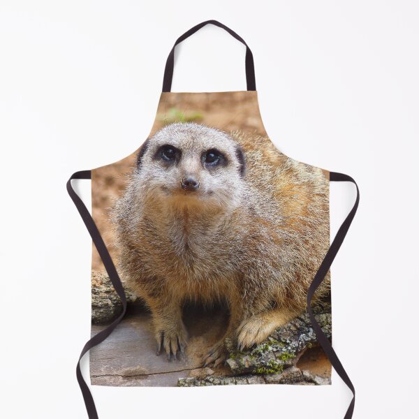 Item preview, Meerkat Manor designed and sold by Fearless-Fox.