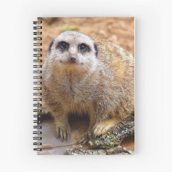 Item preview, Meerkat Manor designed and sold by Fearless-Fox.