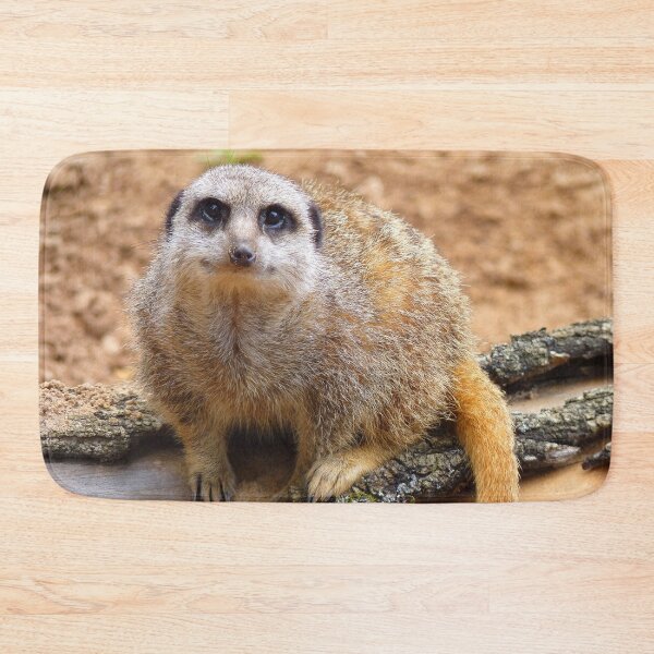 Item preview, Meerkat Manor designed and sold by Fearless-Fox.