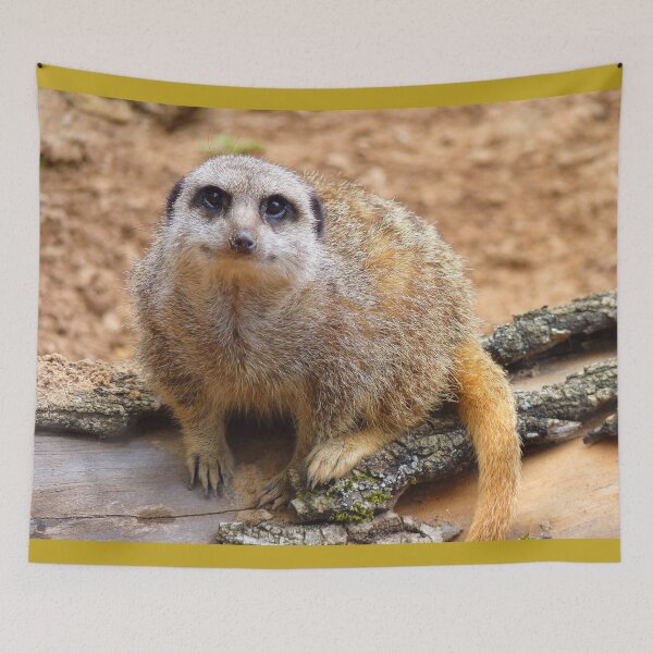 Item preview, Meerkat Manor designed and sold by Fearless-Fox.