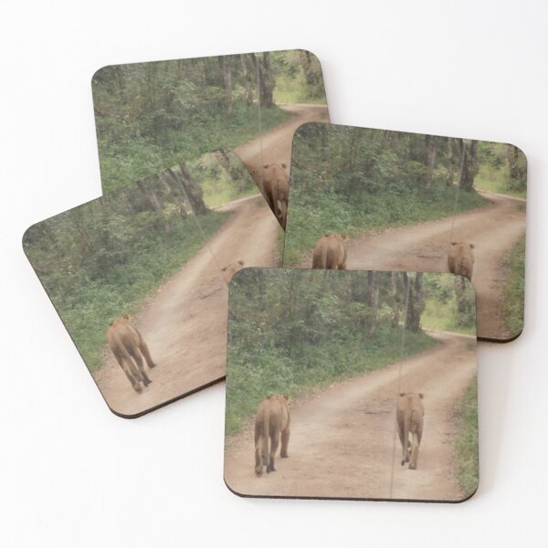 Item preview, Lithe Lionesses designed and sold by annenambiro.