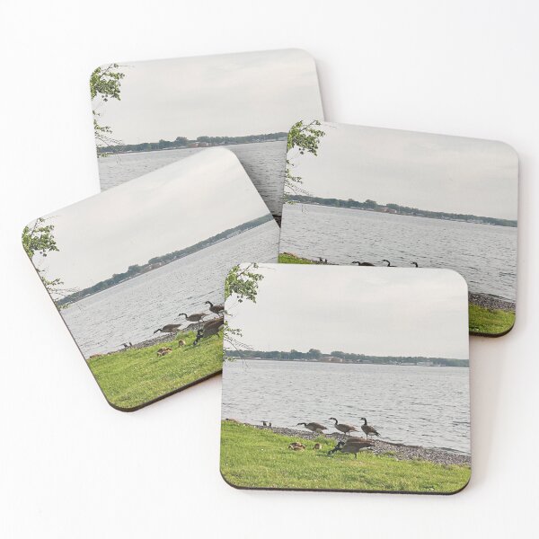 Item preview, Canada goose/Canadian goose with babies'/St Mary's river designed and sold by VeenaNair23.