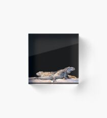 Dragons Acrylic Block