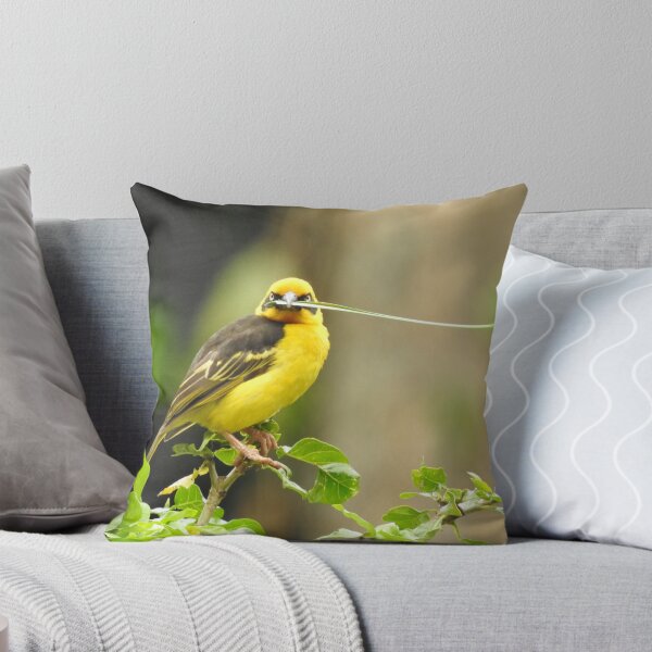 Item preview, Weaver Bird designed and sold by Martina Nicolls.