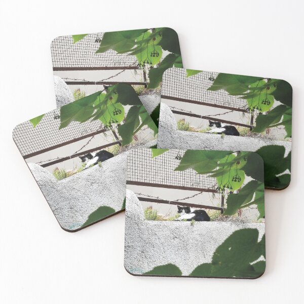 Item preview, Contrast in Rest: Black and White Cat on a Verdant Wall designed and sold by EpicVistas.