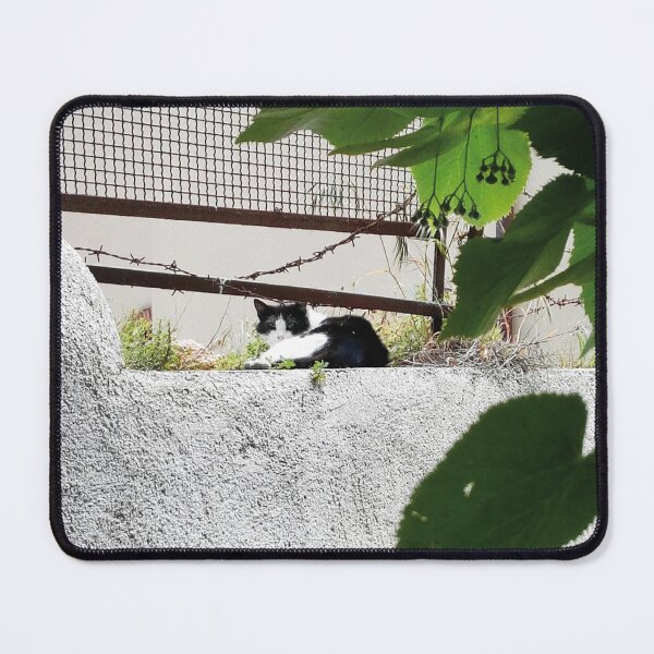 Item preview, Contrast in Rest: Black and White Cat on a Verdant Wall designed and sold by EpicVistas.