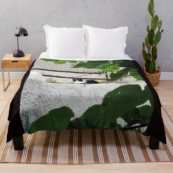 Item preview, Contrast in Rest: Black and White Cat on a Verdant Wall designed and sold by EpicVistas.