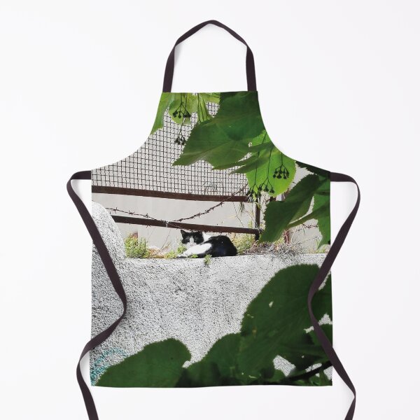 Item preview, Contrast in Rest: Black and White Cat on a Verdant Wall designed and sold by EpicVistas.