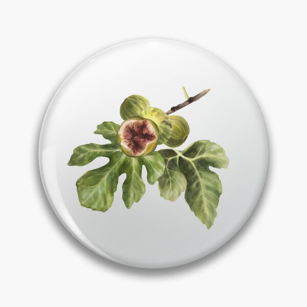 Item preview, Ripe green purple fig fruit and leaves sticker hand-drawn watercolor illustrations  designed and sold by BartolArt.