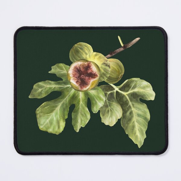 Item preview, Ripe green purple fig fruit and leaves sticker hand-drawn watercolor illustrations  designed and sold by BartolArt.