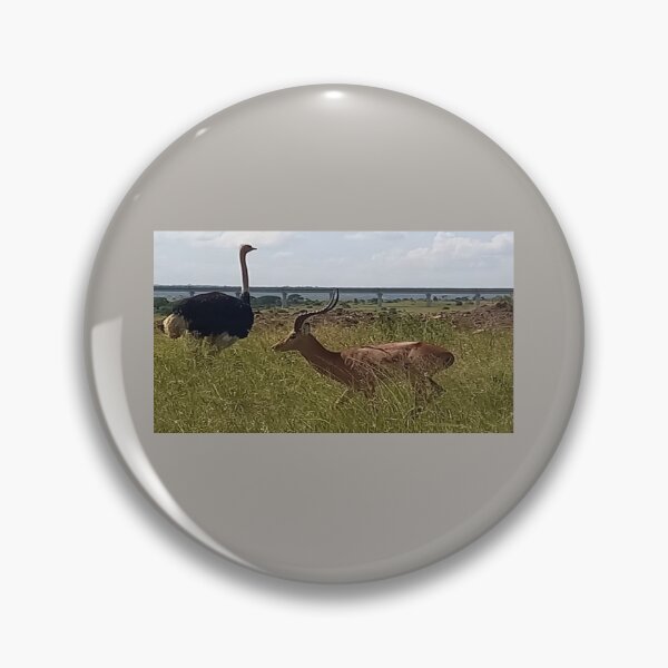 Item preview, The Ostrich abd Gazelle in the Wild designed and sold by annenambiro.