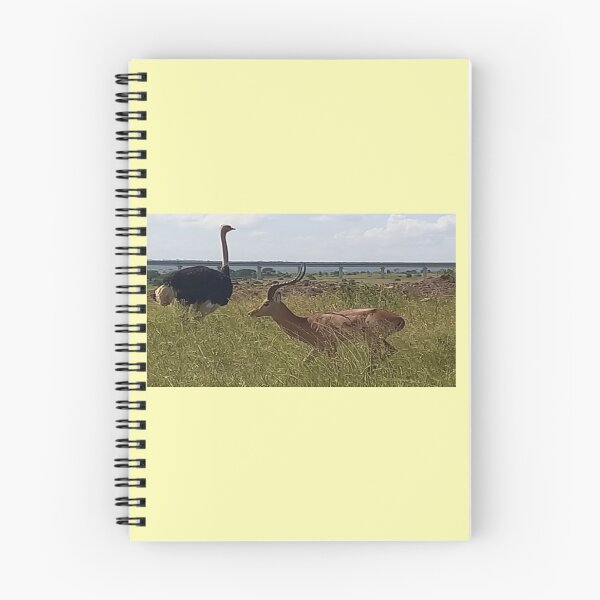 Item preview, The Ostrich abd Gazelle in the Wild designed and sold by annenambiro.
