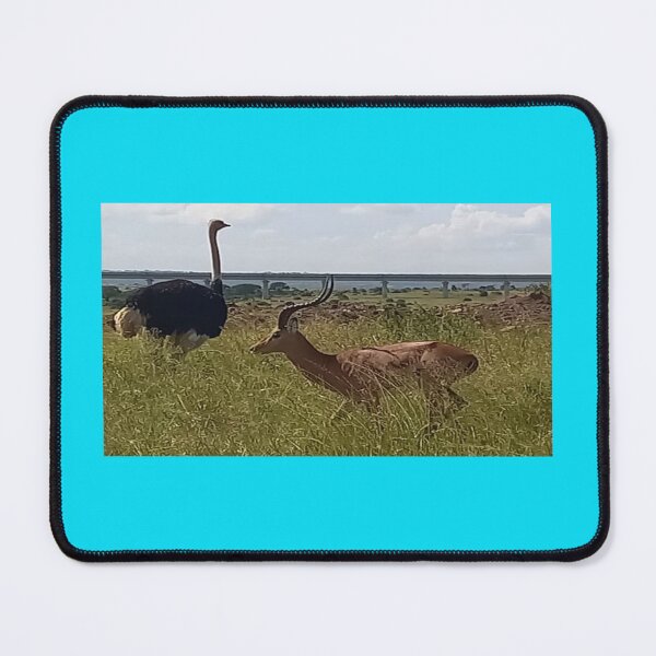 Item preview, The Ostrich abd Gazelle in the Wild designed and sold by annenambiro.