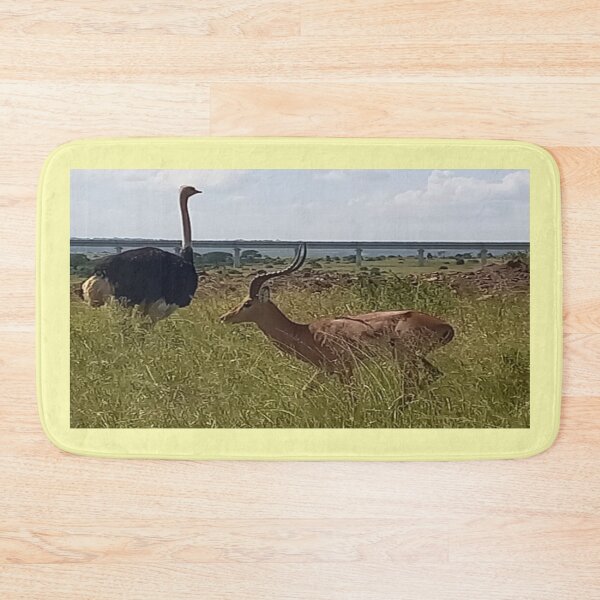 Item preview, The Ostrich abd Gazelle in the Wild designed and sold by annenambiro.