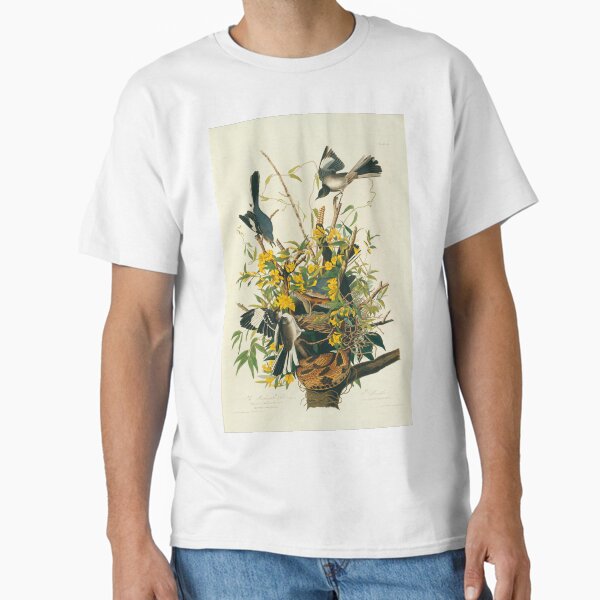 Item preview, Northern mockingbirds, artwork (C011/2505) designed and sold by SciencePhoto.