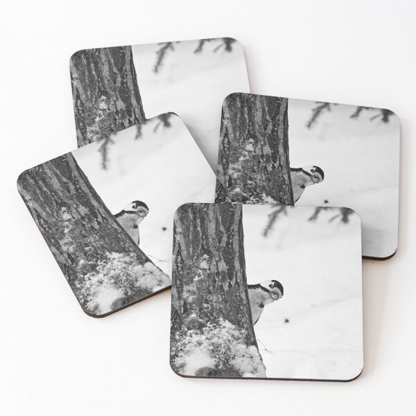 Item preview, Sneak peek. Great spotted woodpecker designed and sold by Jouko Lehto Photography.