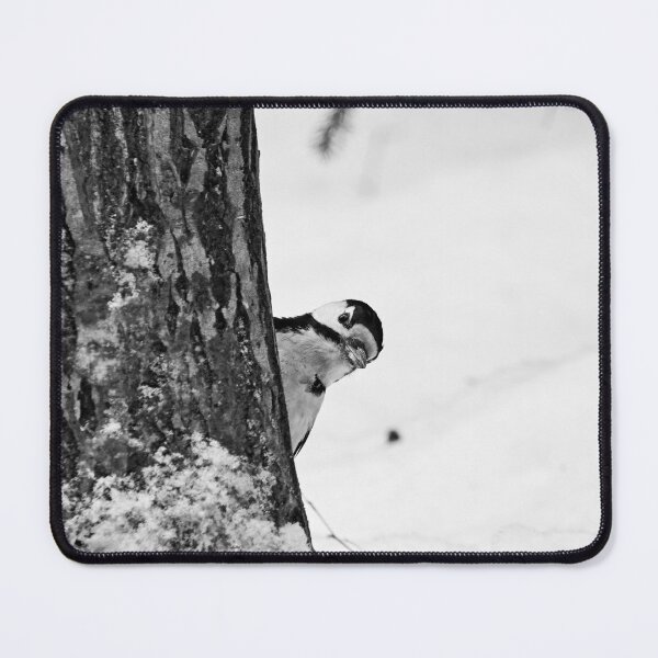 Item preview, Sneak peek. Great spotted woodpecker designed and sold by Jouko Lehto Photography.