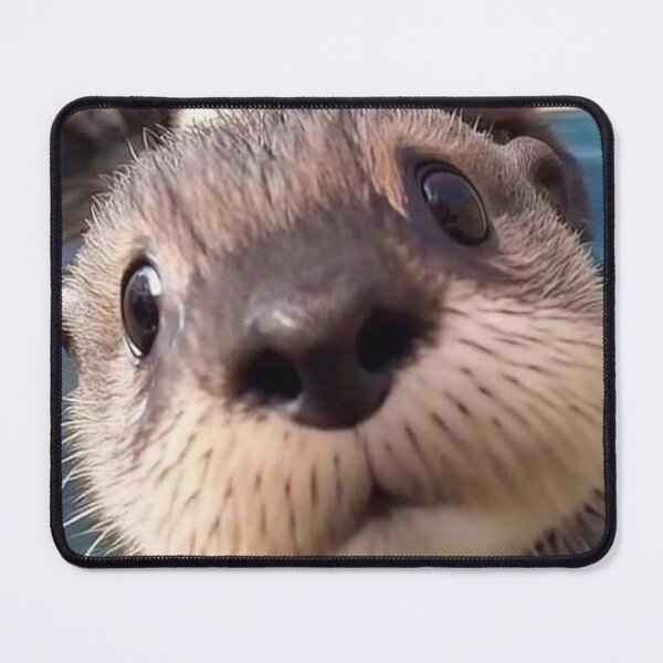 Item preview, Otter pics designed and sold by Flowerslaps.