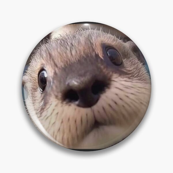 Item preview, Otter pics designed and sold by Flowerslaps.