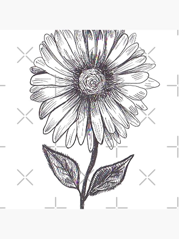 Thumbnail 5 of 5, Coasters (Set of 4), Flower designed and sold by PlantBased40.