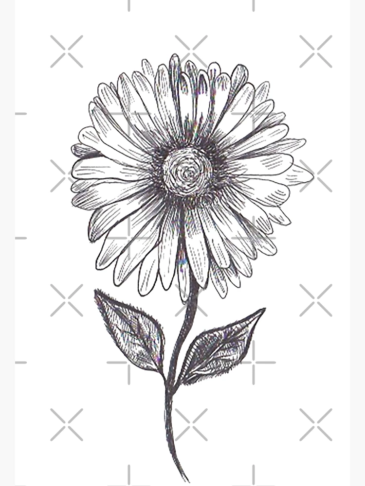 Thumbnail 3 of 3, Poster, Flower designed and sold by PlantBased40.