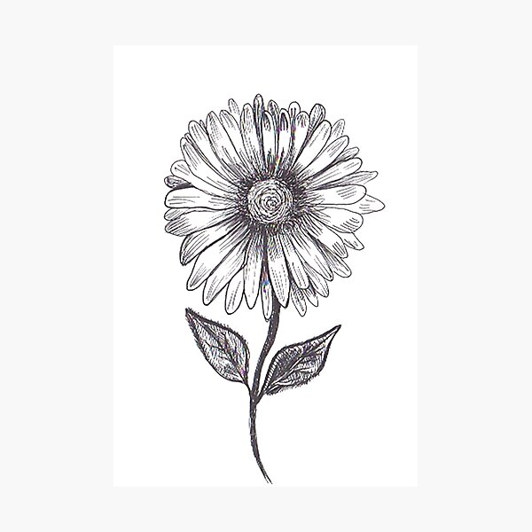 Item preview, Flor designed and sold by PlantBased40.
