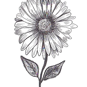 Artwork thumbnail, Flower by PlantBased40