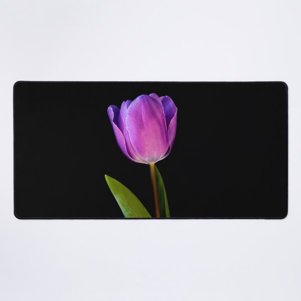 Item preview, Close up Purple tulip designed and sold by nesgalina.