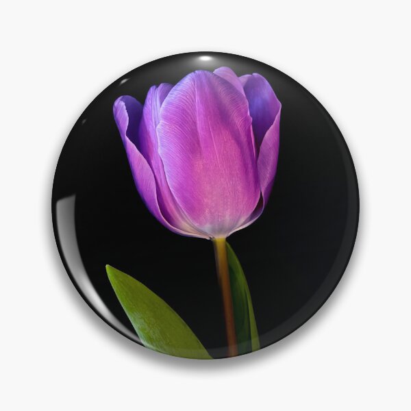 Item preview, Close up Purple tulip designed and sold by nesgalina.