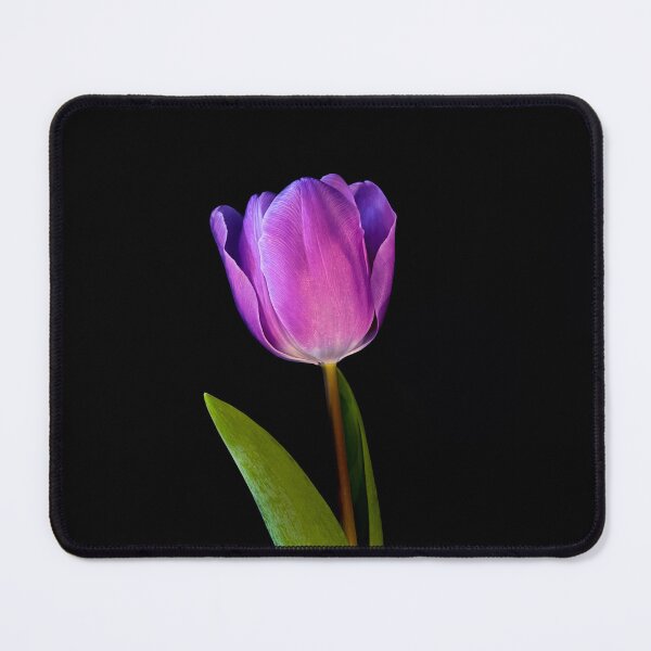 Item preview, Close up Purple tulip designed and sold by nesgalina.