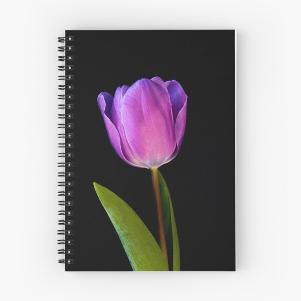 Item preview, Close up Purple tulip designed and sold by nesgalina.