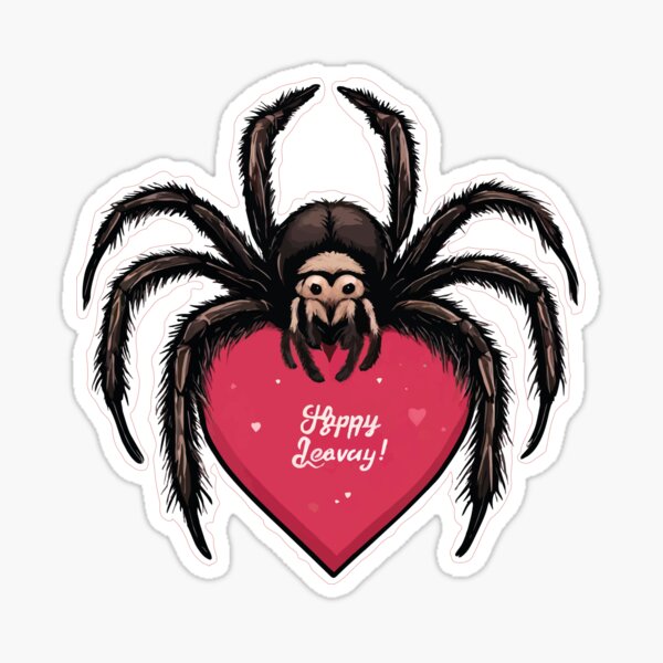 These are so cute! #valentine #valentinesday #matching #spiderkitty🕷 , matching undersets