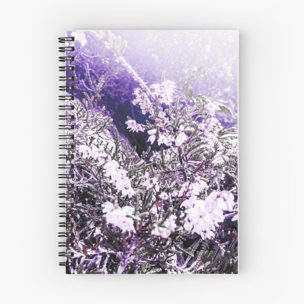 Item preview, The Photography Scene designed and sold by Pentagonth3f.