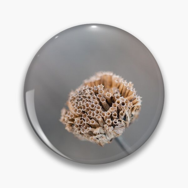 Item preview, Dried Out Wild Bergamot designed and sold by MoodandMagic.
