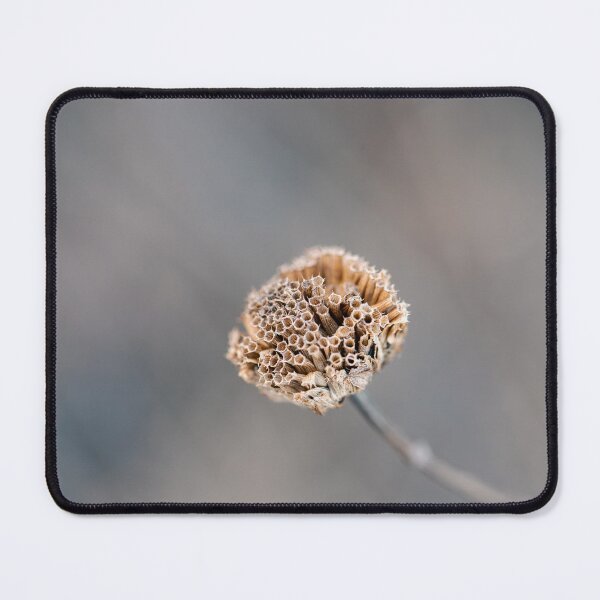 Item preview, Dried Out Wild Bergamot designed and sold by MoodandMagic.