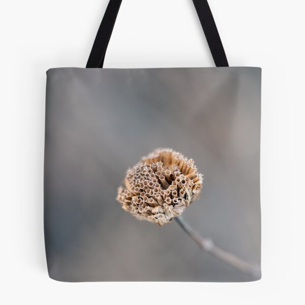 Item preview, Dried Out Wild Bergamot designed and sold by MoodandMagic.